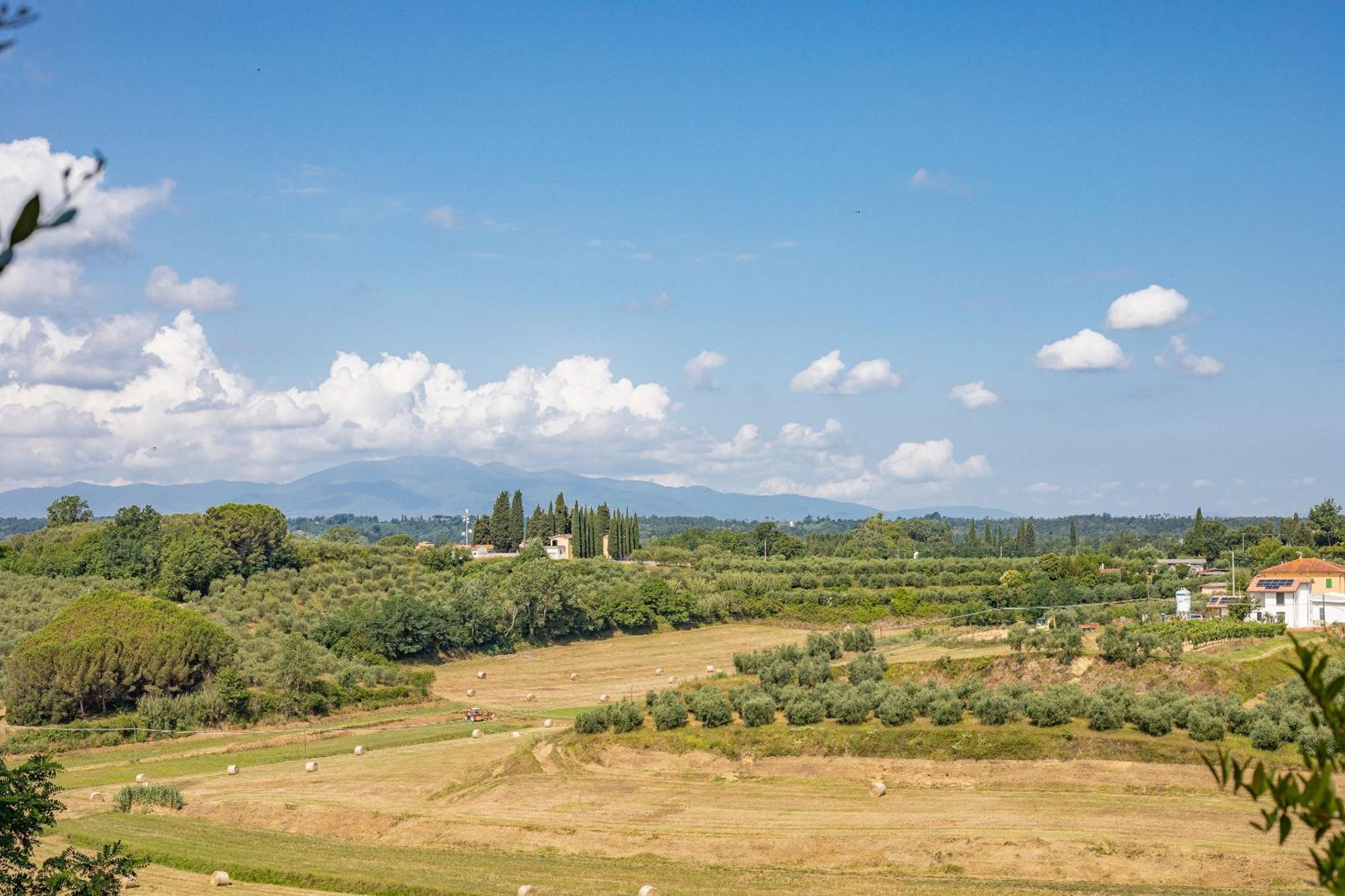 Fienile Cipresso, Art Of Living Tuscany Torre Eksteriør bilde